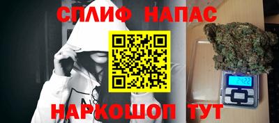 сатива Гай