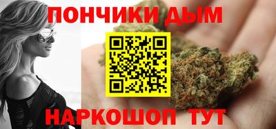 сатива Гай