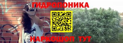 сатива Гай