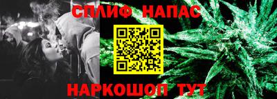 jwh Гатчина