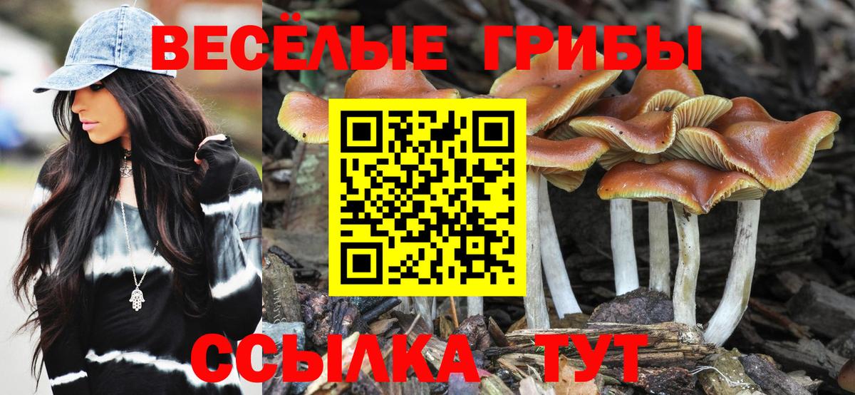 Псилоцибиновые грибы Psilocybe Набережные Челны