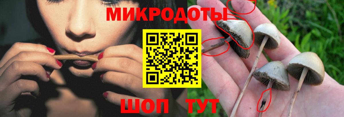 Галлюциногенные грибы ЛСД  Галлюциногенные грибы ЛСД  купить наркотики цена  Набережные Челны  Вход с VPN 